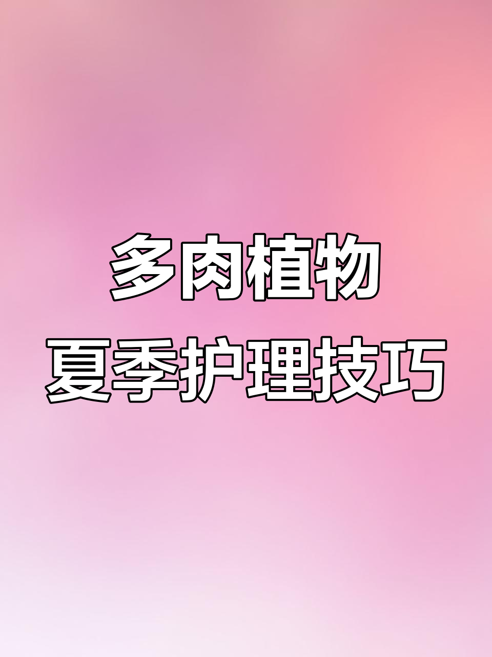 雪精灵多肉植物夏季养护全攻略:避免强光直射,保持通风干燥