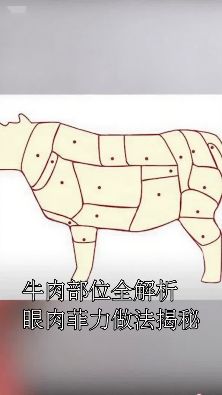 牛肉部位全解析眼肉菲力做法揭秘