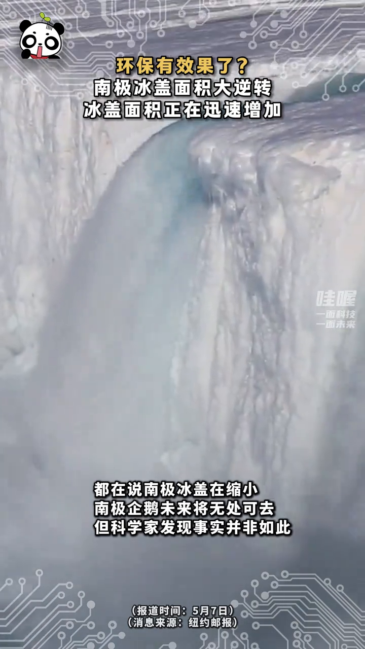 环保有效果了?南极冰盖面积大逆转,冰盖面积正在迅速增加