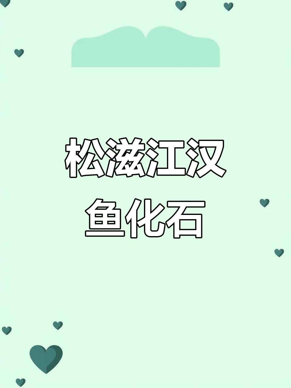 湖北松滋发现江汉鱼化石,揭示古生物奥秘