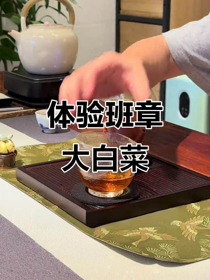 38000元一饼的班章大白菜,口感如何?