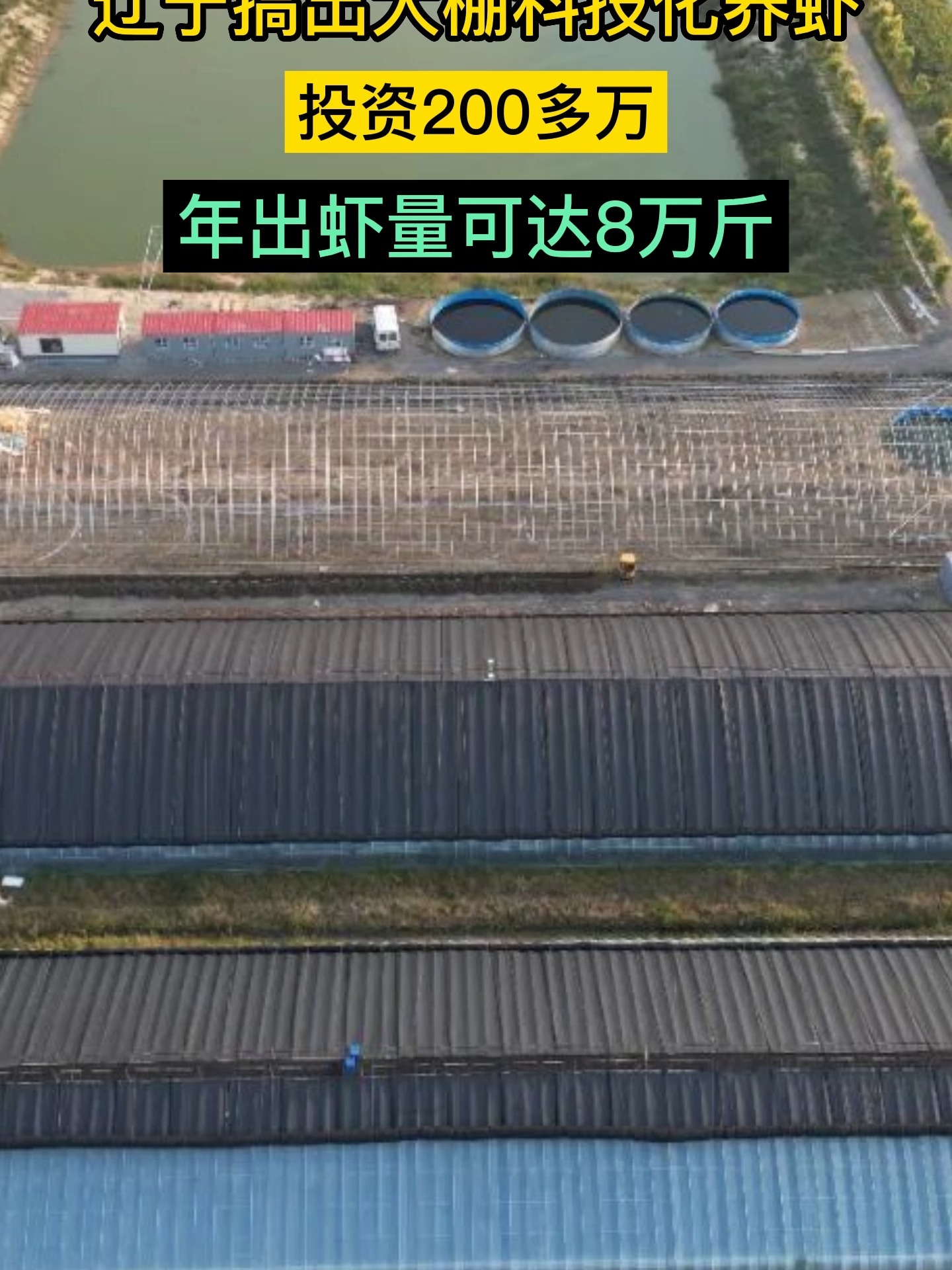 科技大棚养虾模式,年出虾量高达8万斤!