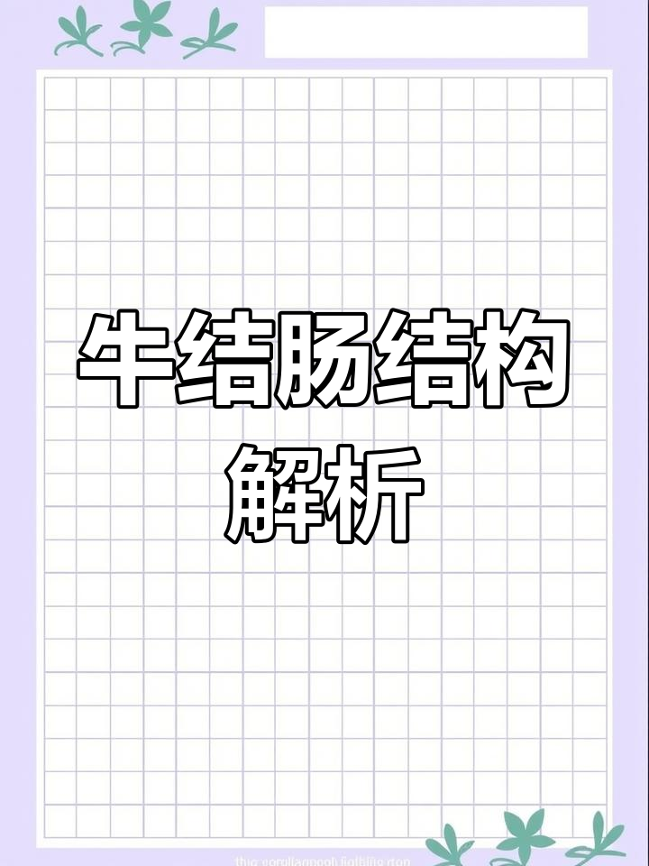 牛结肠袢的解剖与功能详解,兽医必看!