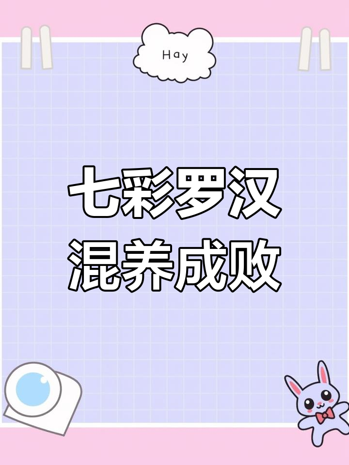 罗汉与七彩神仙鱼混养,结果竟然这样!