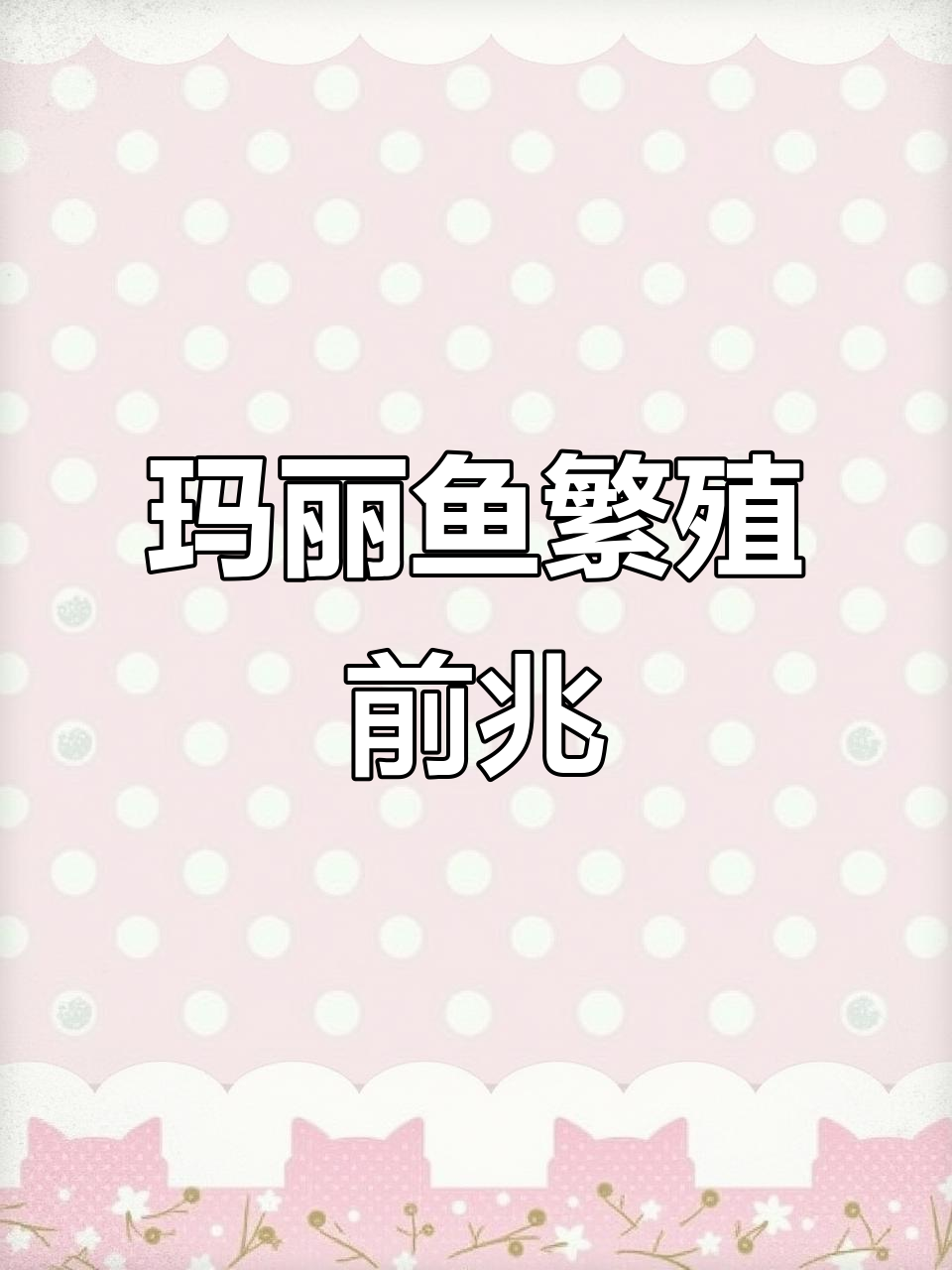 玛丽鱼临产征兆与交配过程揭秘