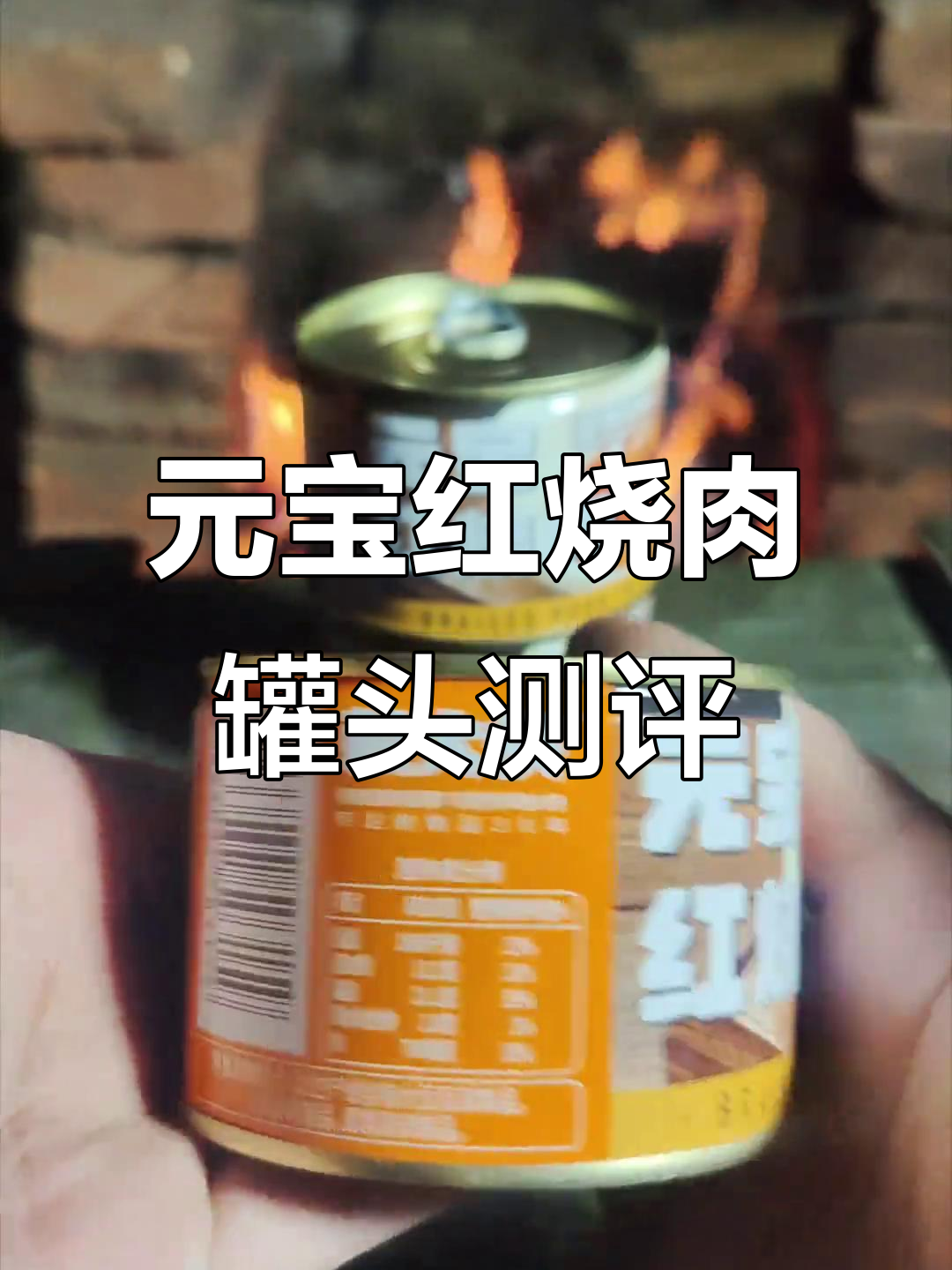 3.9元一罐的元宝红烧肉罐头,性价比超高!