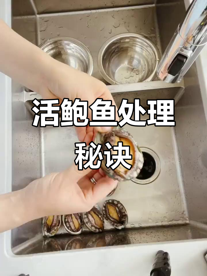 活鲍鱼鲜嫩可口，轻松处理，煲汤炒蒸皆宜！