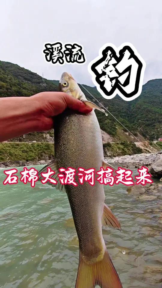 7.溪流钓鱼,不仅是一项运动,更是一种心灵的修行。钓鱼 溪流钓 雅鱼 野外垂钓