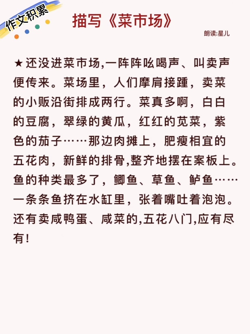 作文积累《描写菜市场》为孩子收藏