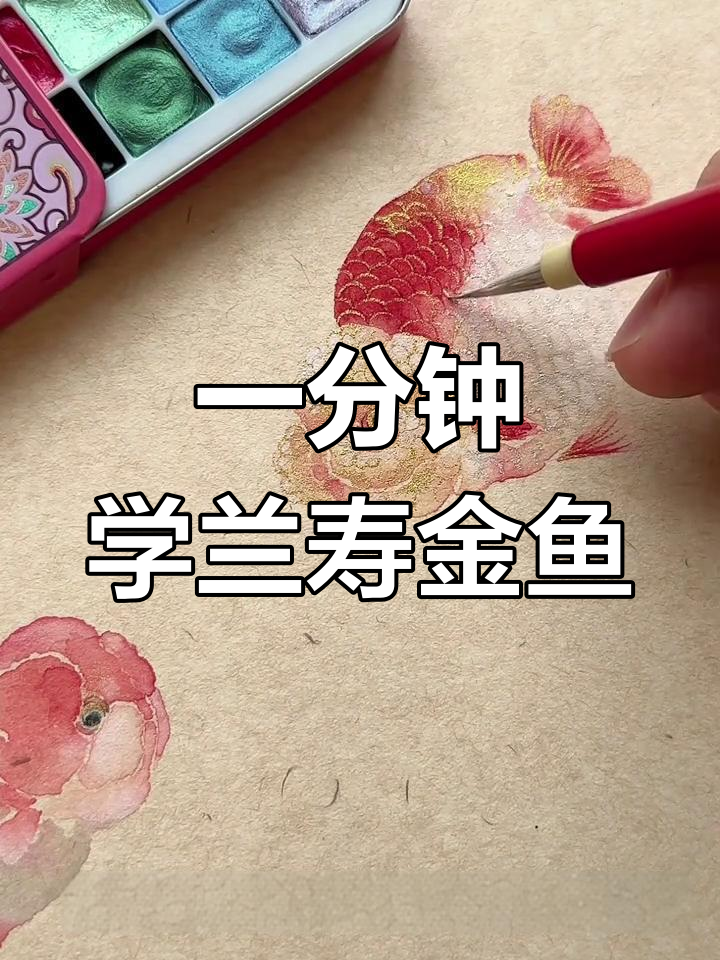 兰寿金鱼画法,零基础也能轻松学会