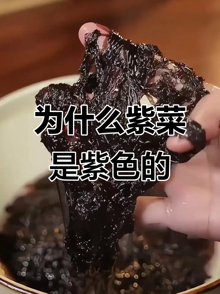 紫菜为何叫“紫”?揭秘它的颜色与营养价值