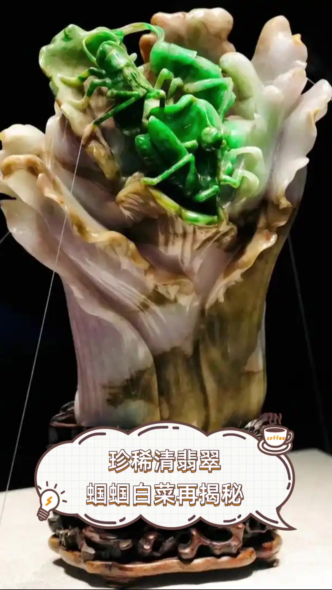 珍稀清翡翠,蝈蝈白菜再揭秘