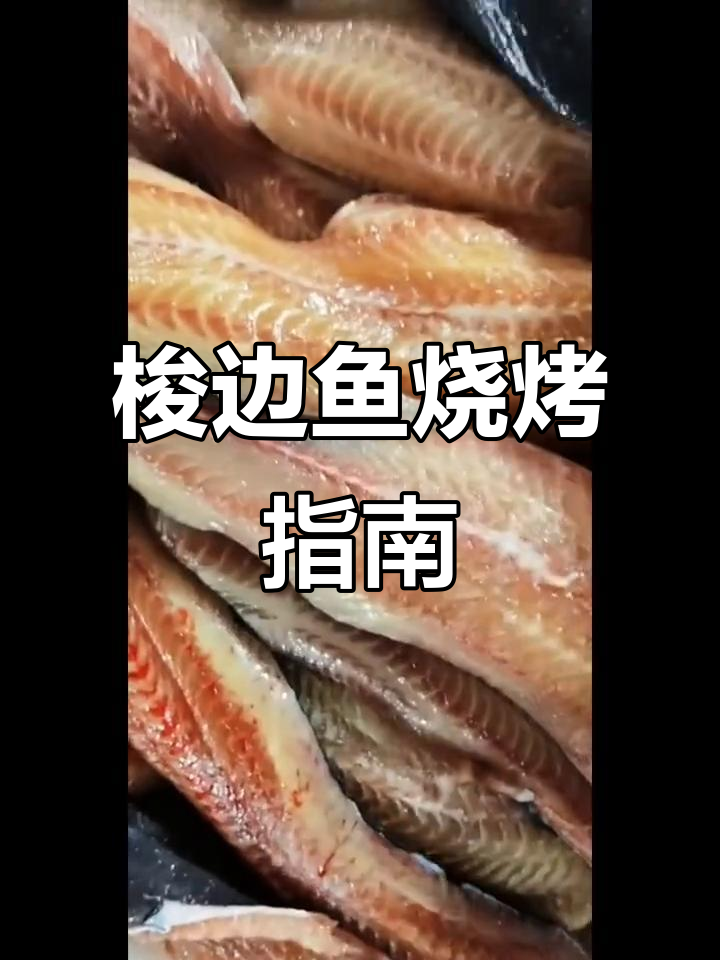 八须鲶鱼烧烤技巧与规格详解