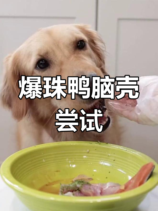 鸭脑壳新吃法,爆珠口感让人惊艳!