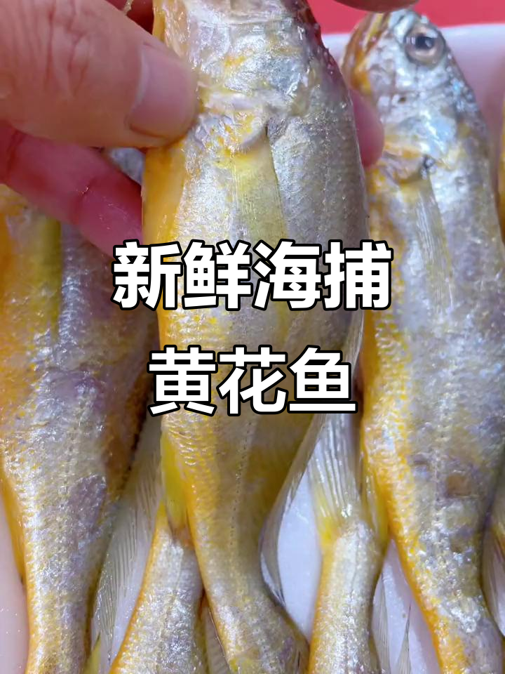 海捕小黄花鱼,鲜美又省心!去头去脏轻松做