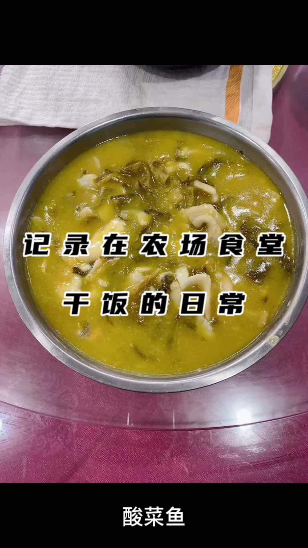 吃的饱想的少,天天开心没烦恼 用抖音记录我的真实生活 记录真实生活 生活vlog日常记录 