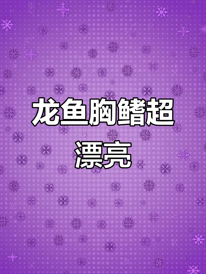 银龙鱼胸鳍惊艳,颜色太美了!