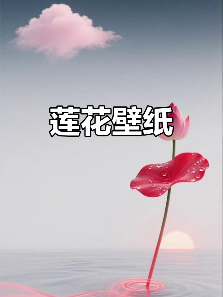 荷花壁纸,唯美莲花手机背景