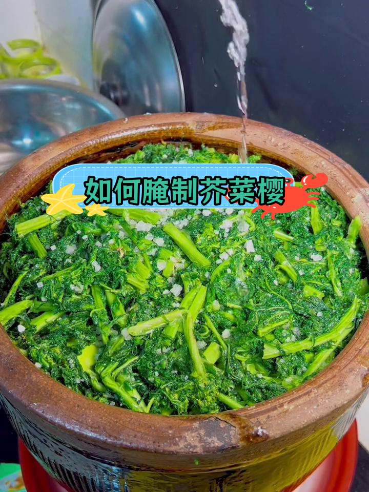 芥菜樱的腌制方法,保持翠绿不坏