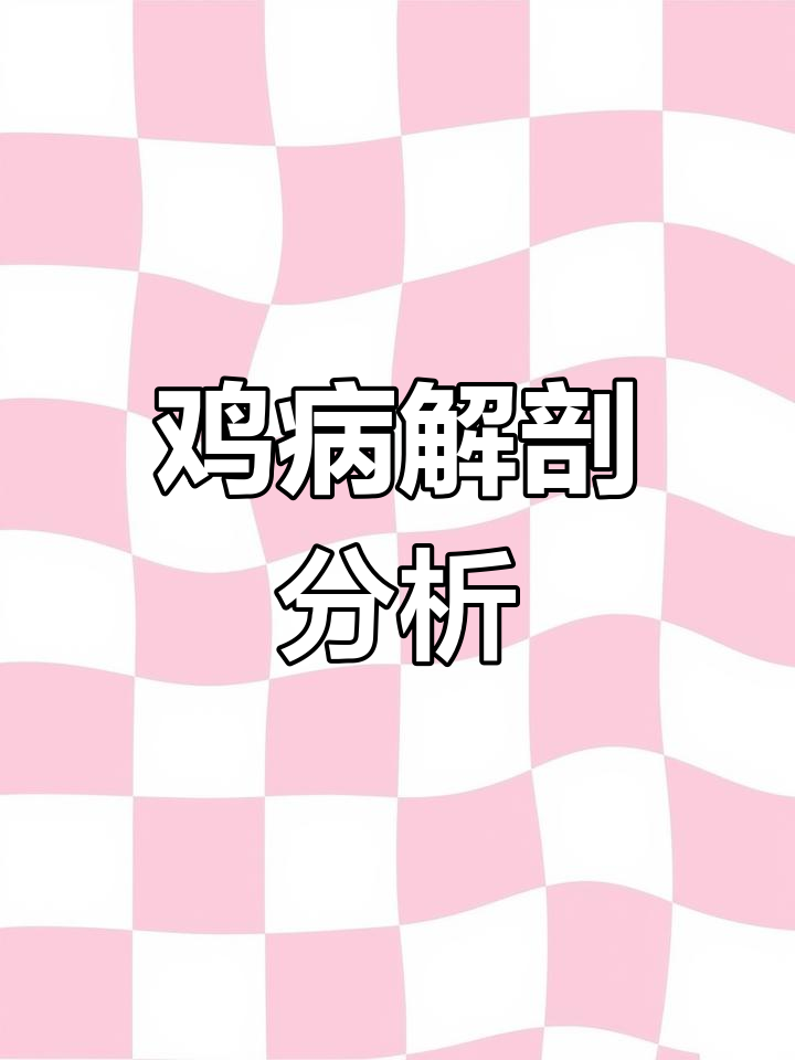 鸡群出现胸骨囊肿和关节粘液症状,疑似滑液囊支原体感染
