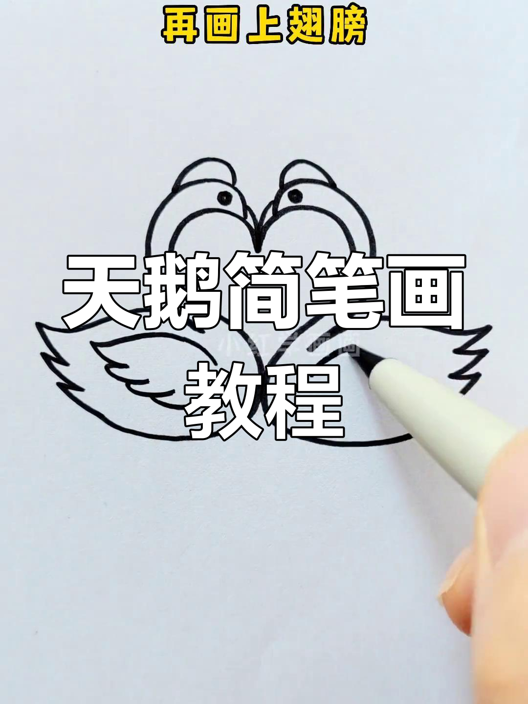 简单步骤画出天鹅