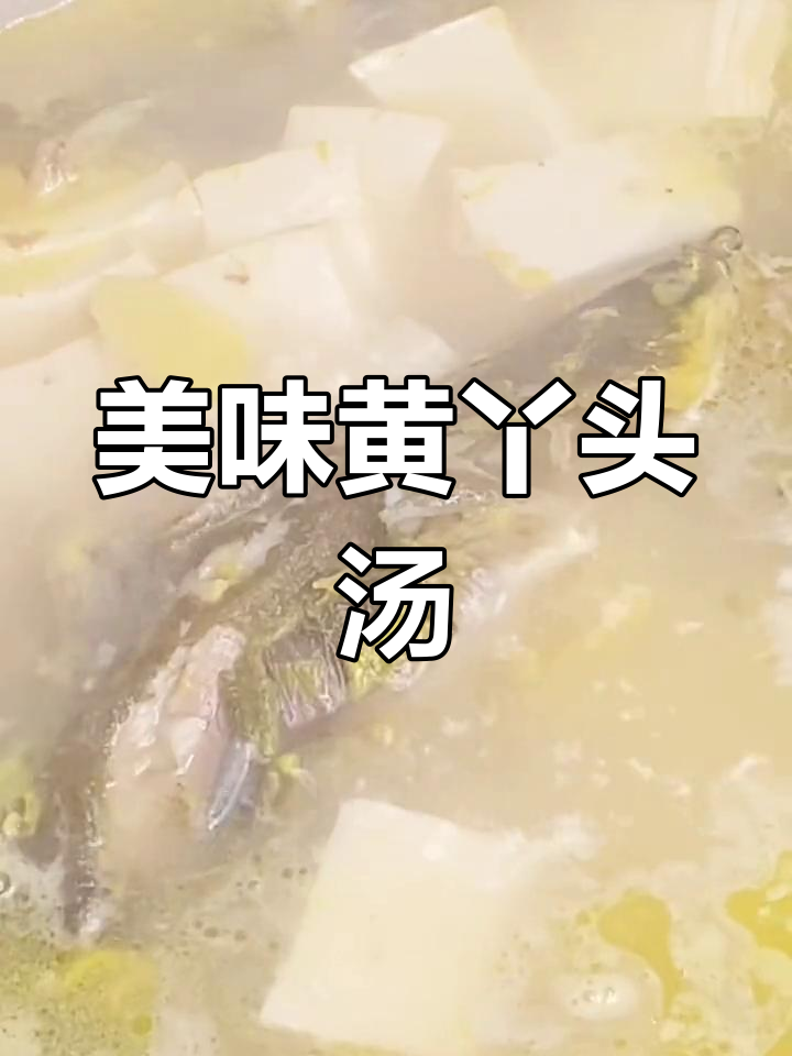 黄丫头豆腐汤,鲜美滋补,简单易做
