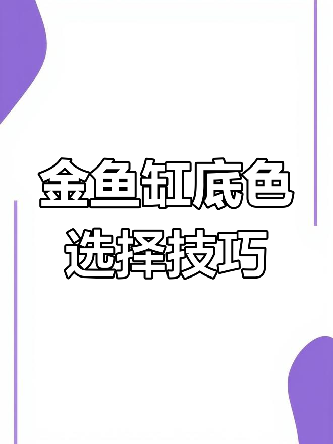 养金鱼选什么颜色背景?