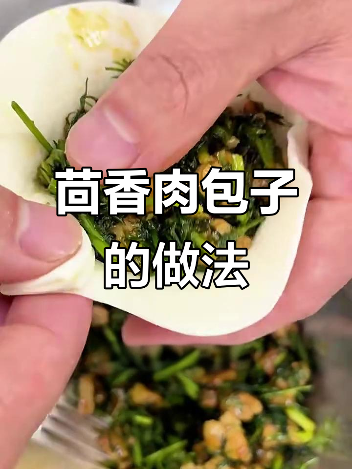 茴香猪肉馅包子,酱香味十足,鲜美又好吃