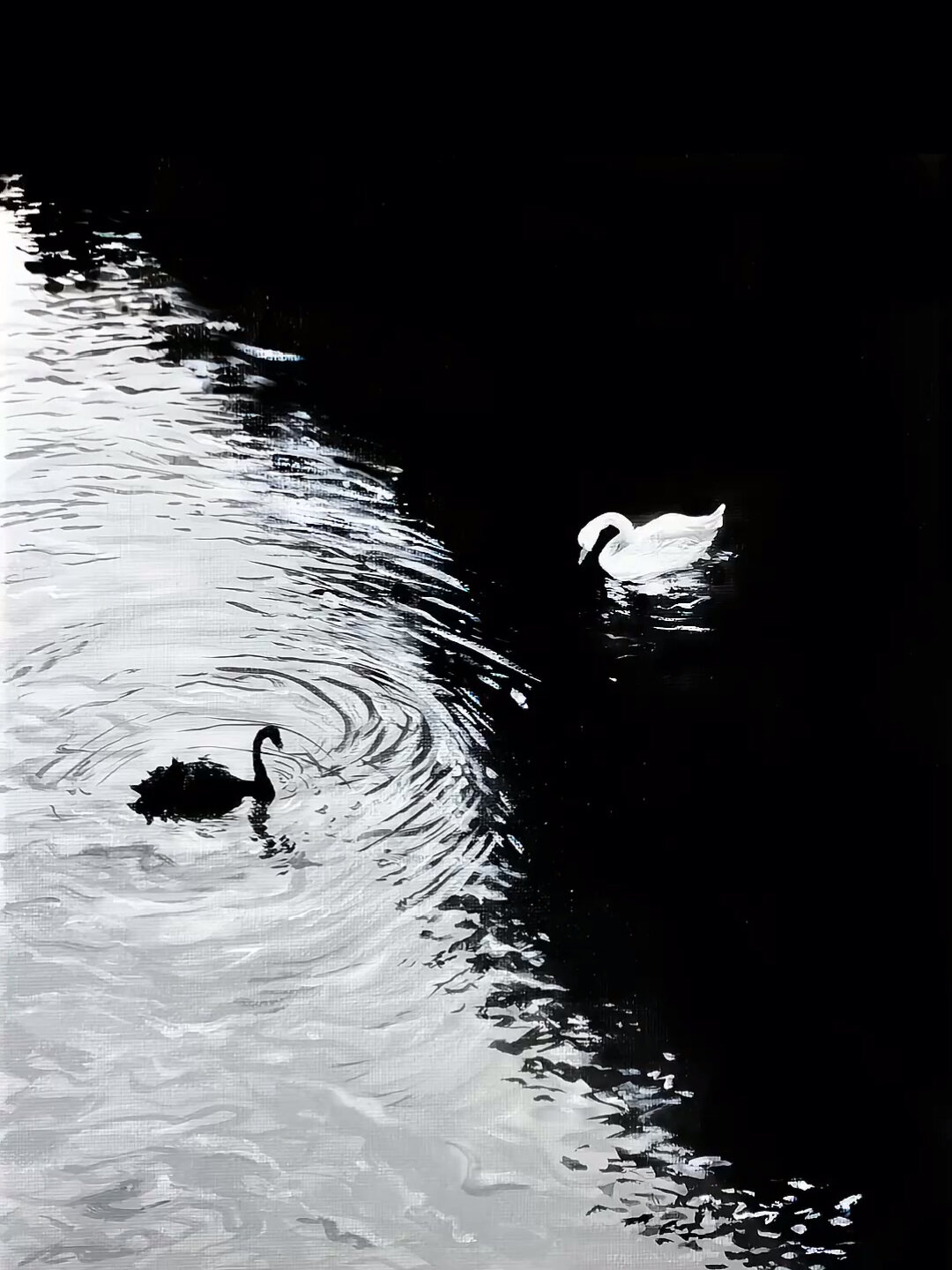 黑白天鹅湖|丙烯画|视频教程