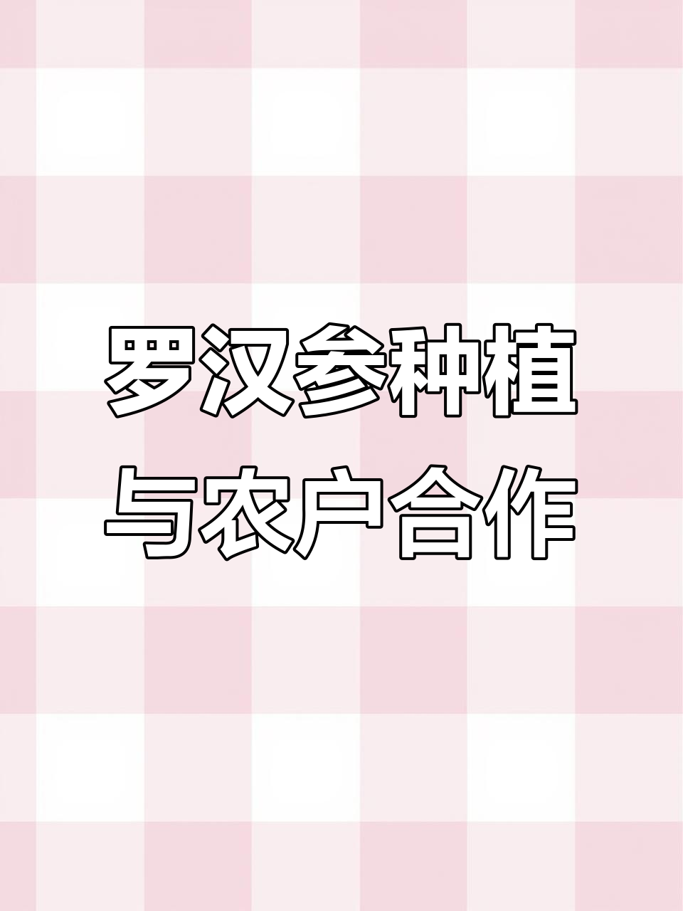 单县罗汉参种植:20年轮作,标准化生产助力农户合作