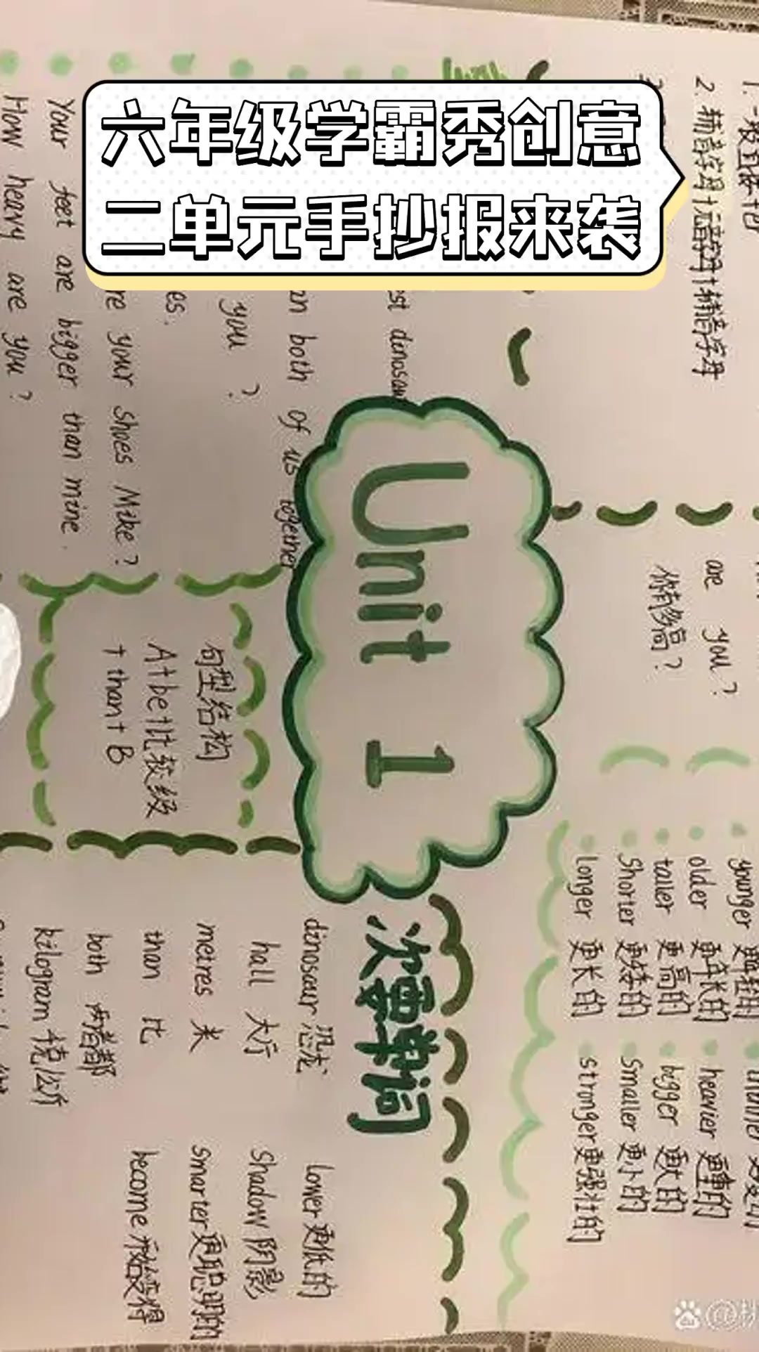 六年级学霸秀创意,二单元手抄报来袭