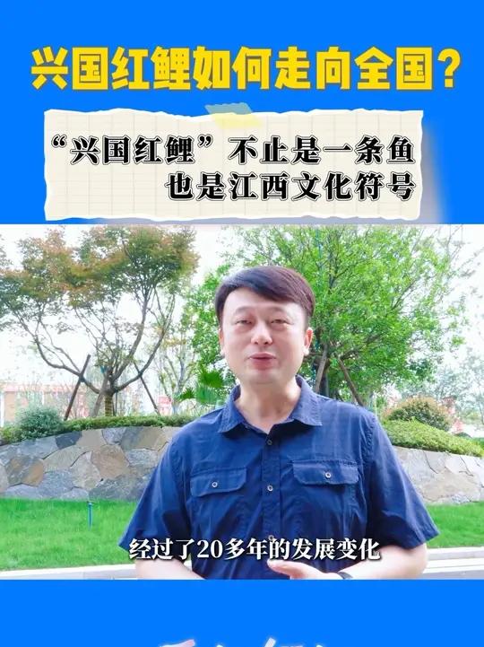 兴国红鲤：自带喜庆基因，承载红色文脉！#兴国红鲤 #鲤鱼 #红鲤鱼 #观赏鱼 #种业