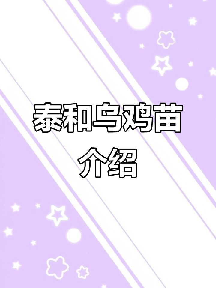 泰和乌鸡苗与竹丝鸡、乌肉鸡的品种对比