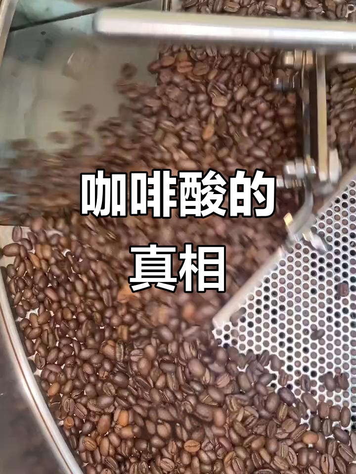 咖啡酸味到底好不好?两种类型大揭秘