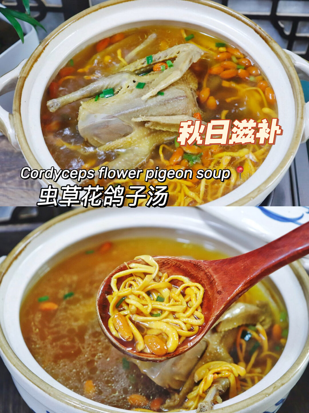 虫草花鸽子汤秋日干燥季用汤水滋润