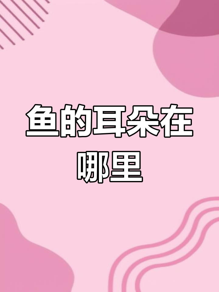 鱼耳的秘密:如何接收声音