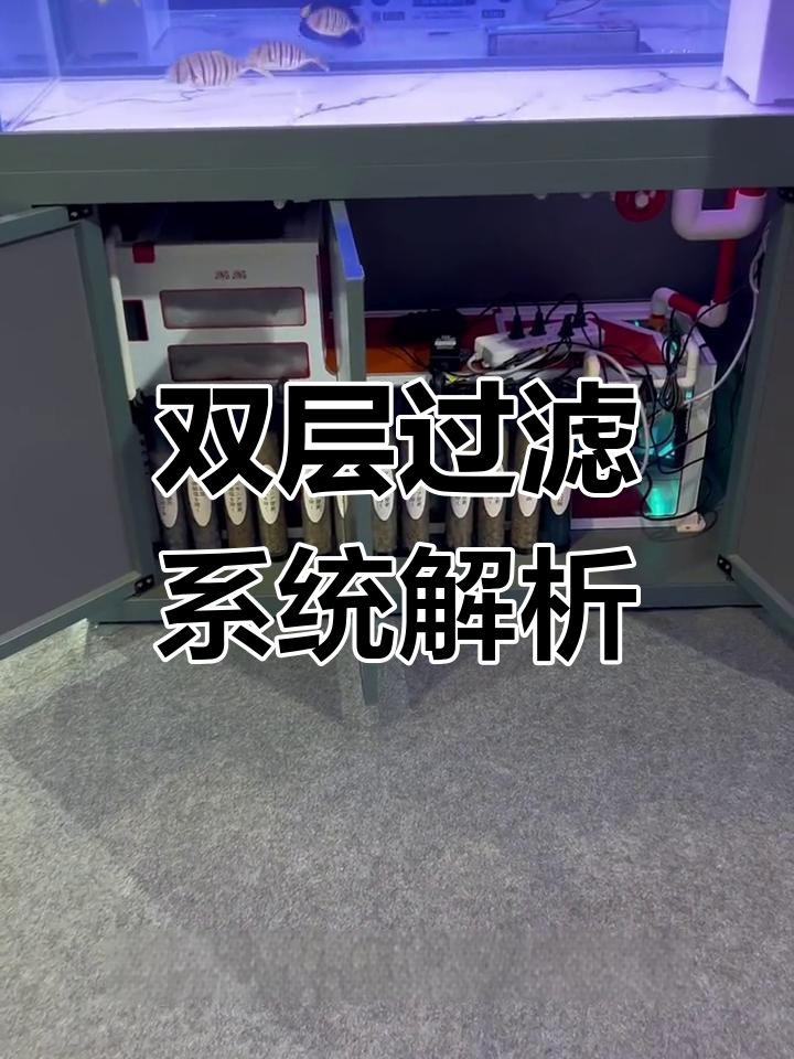 鱼缸两套过滤系统,打造自然生态循环