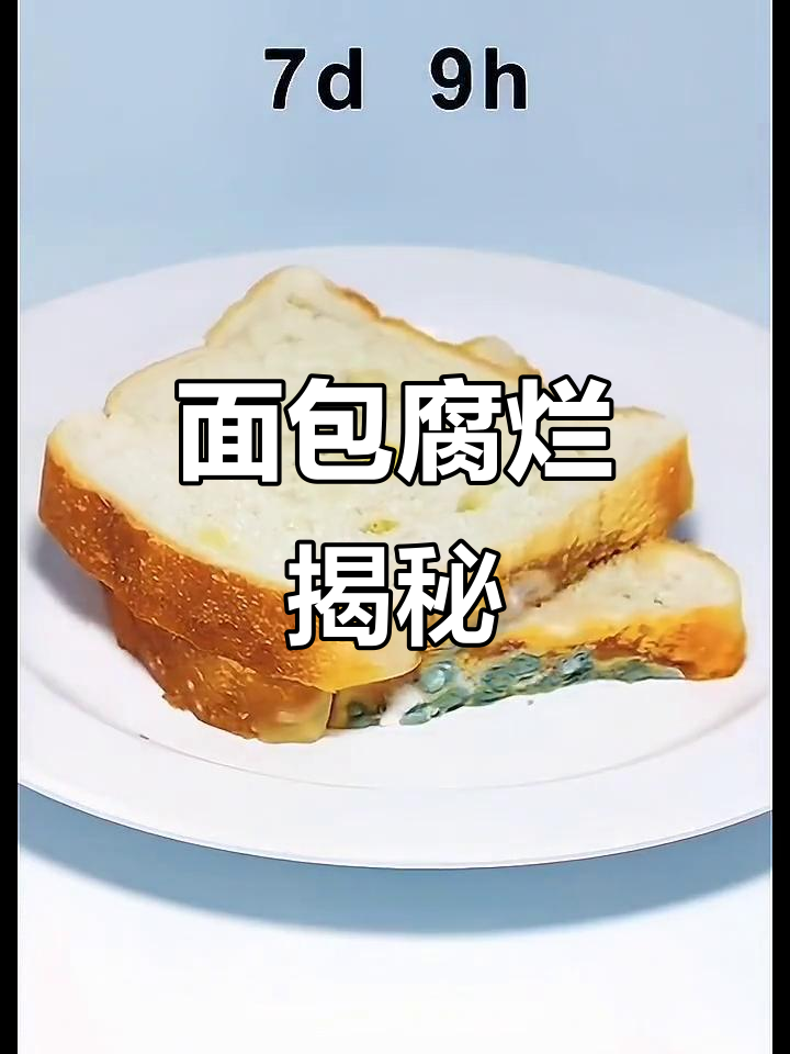 面包发霉全过程,竟然这么有趣!