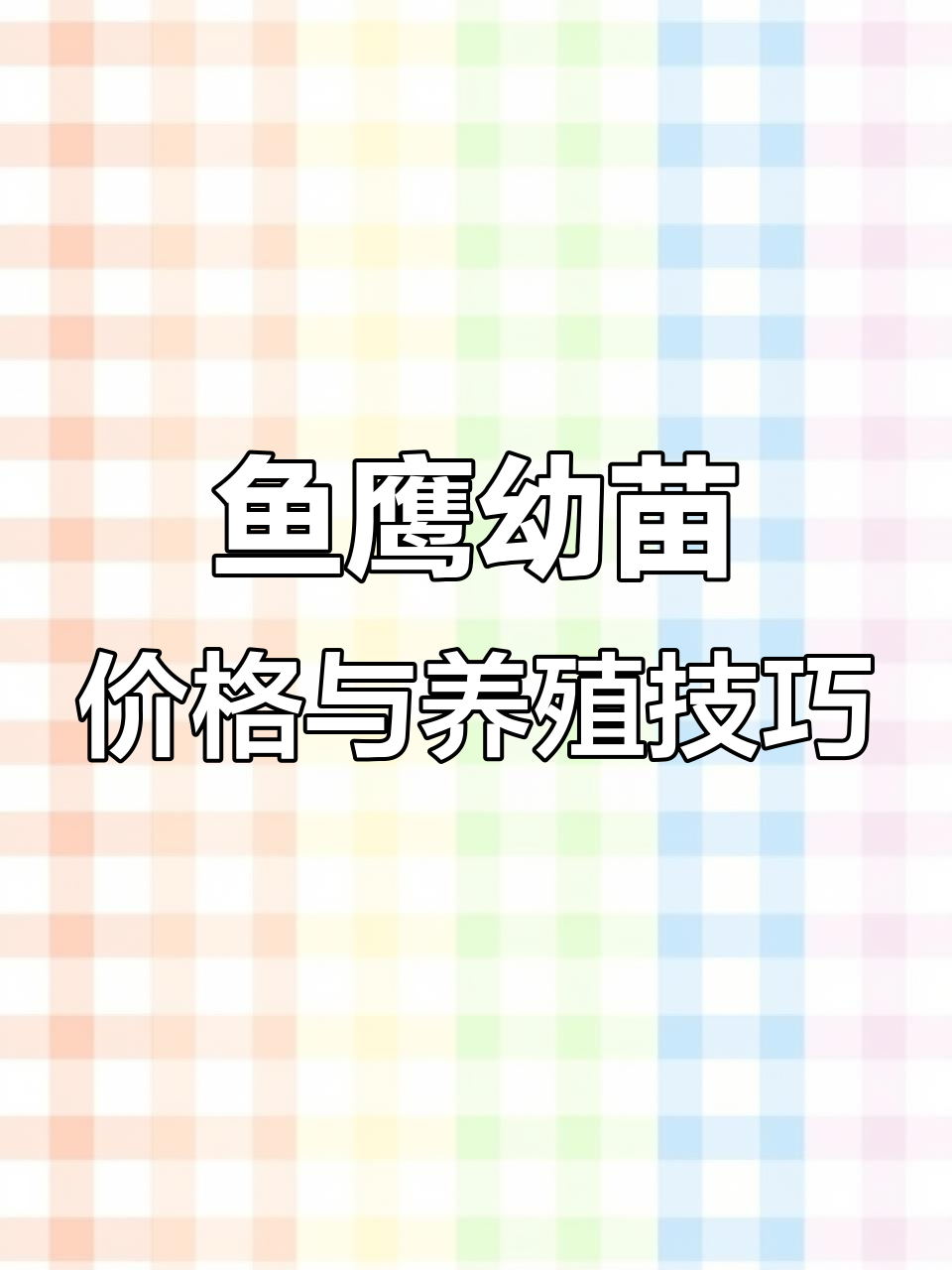鱼鹰繁殖揭秘:从蛋到成鸟全过程