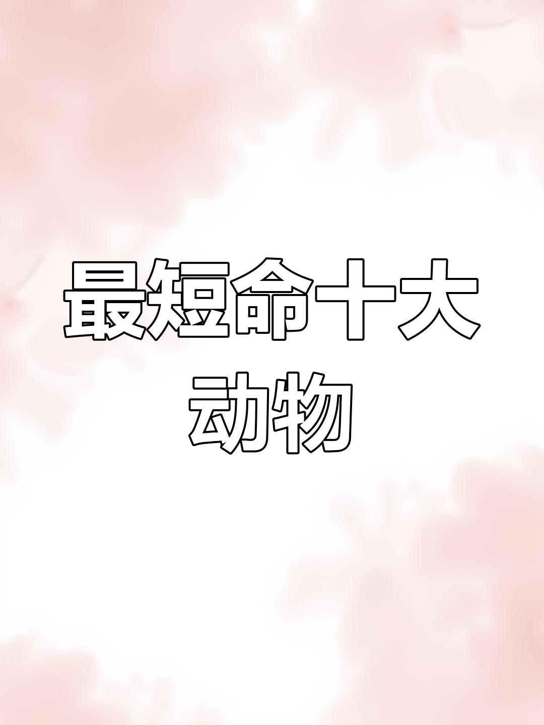 十种寿命最短的动物,第一名竟然只活一天!