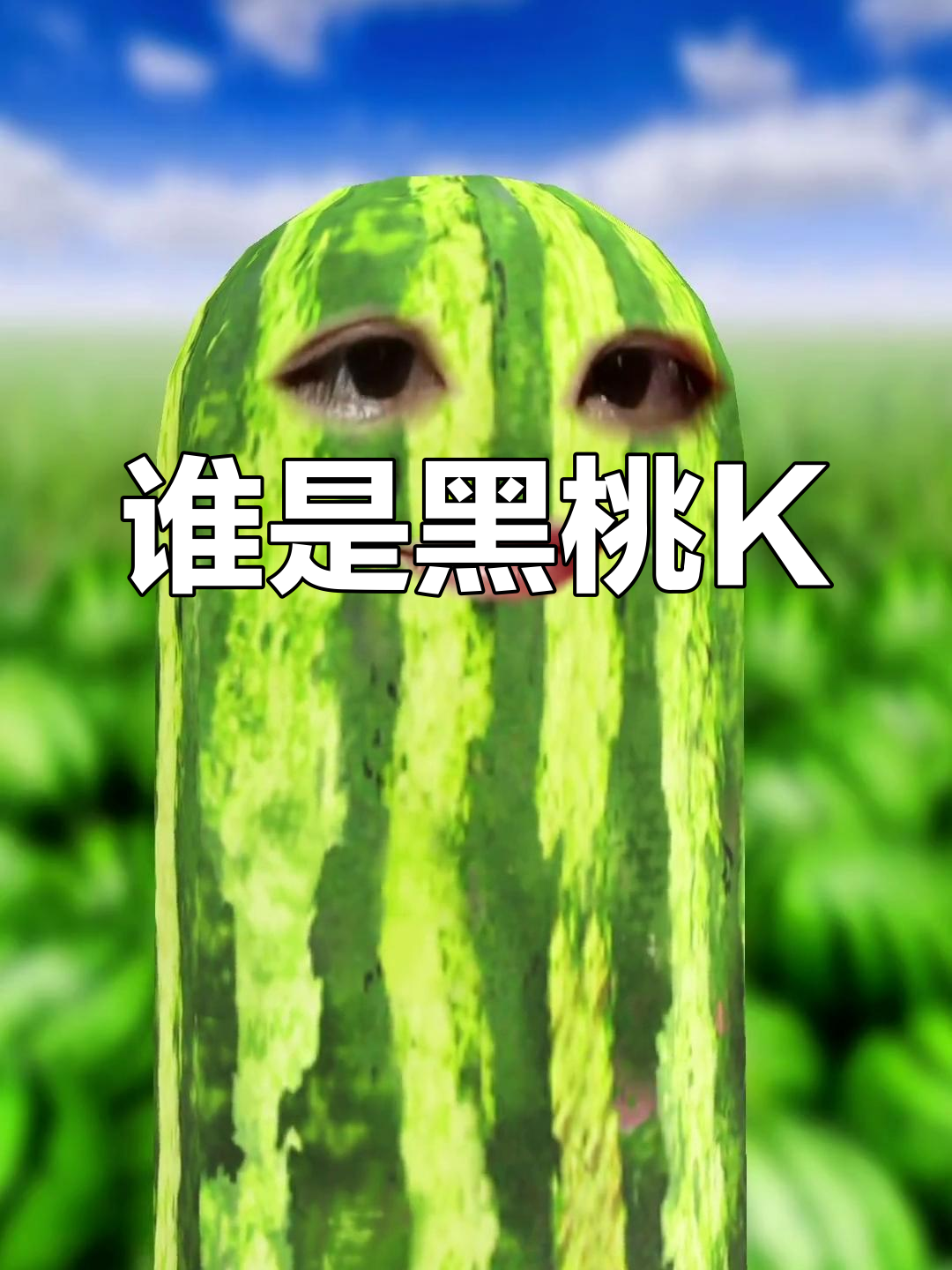 秦川与鲨鱼的卧底谜团