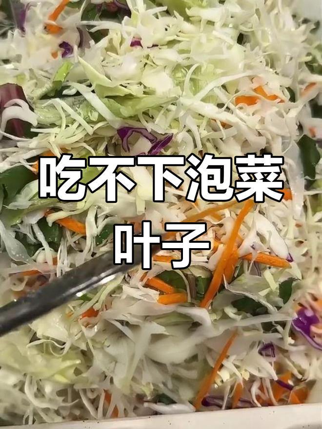 韩国职场食堂的泡菜挑战