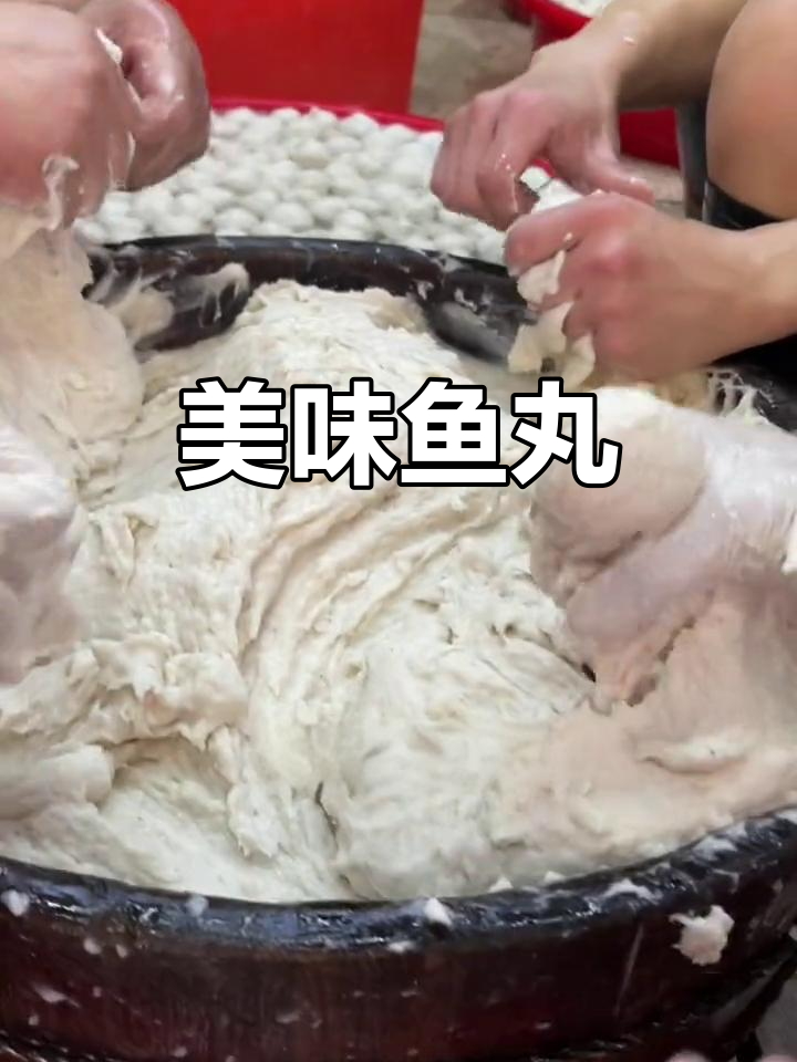 鱼丸鲜美,口感丰富,火锅汤粉皆宜