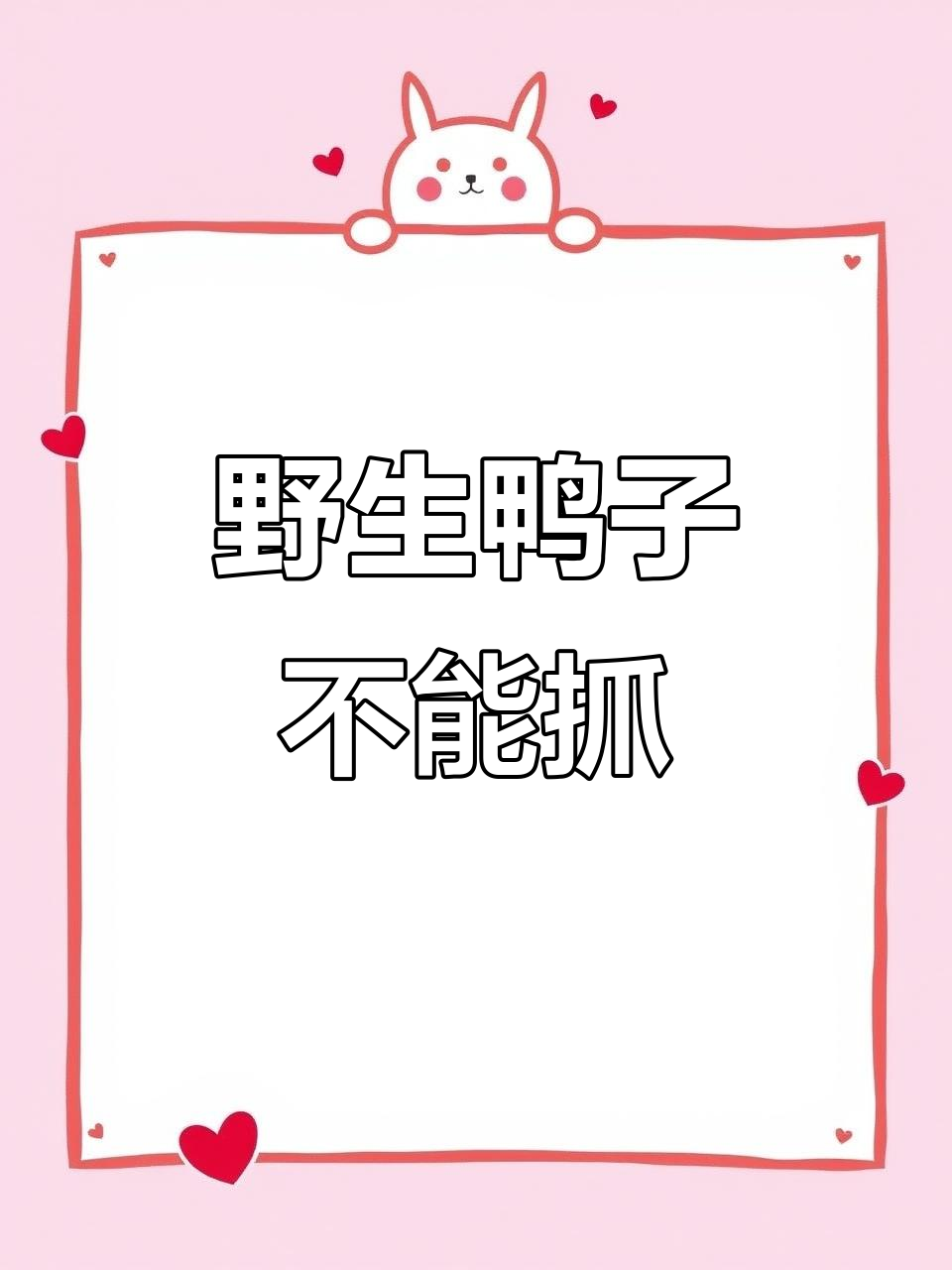 野鸭是二级保护动物,捕杀贩卖违法!