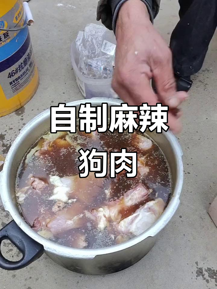 麻辣狗肉大快朵颐,香料与辣椒的完美结合