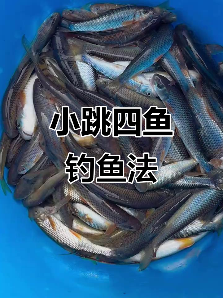轻松钓苦花鱼,掌握小跳四鱼的技巧