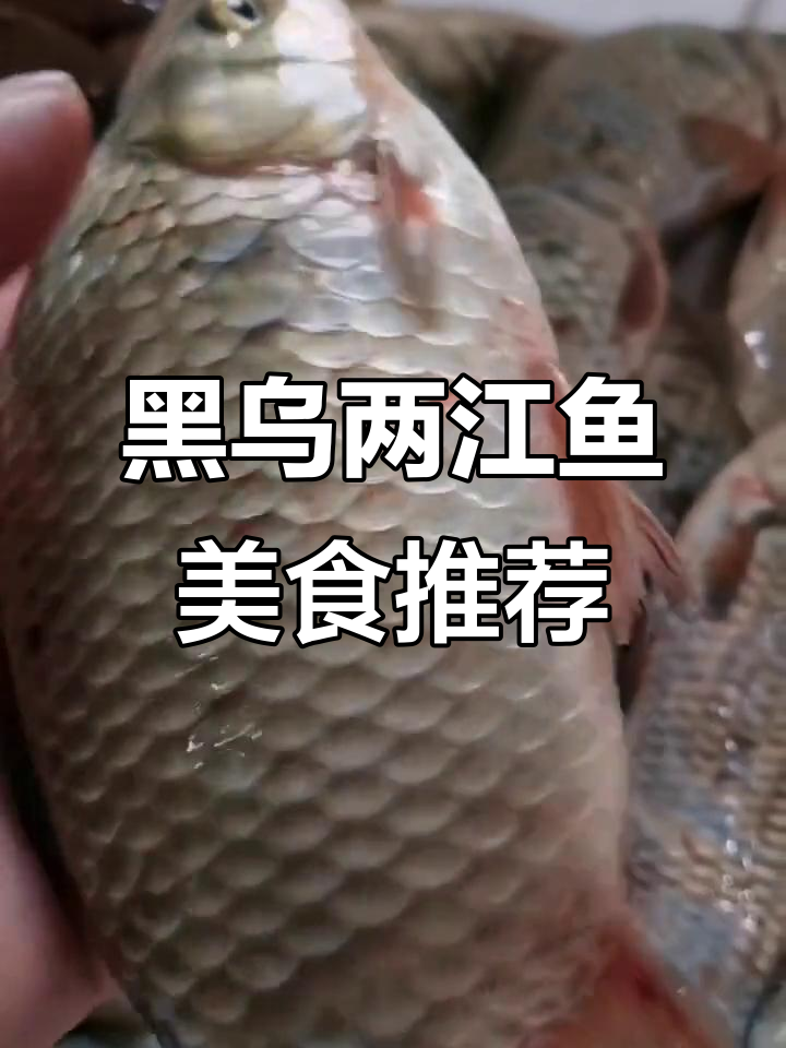 黑龙江抚远乌苏里江纯鱼大揭秘:鲫、胡萝等美味全攻略