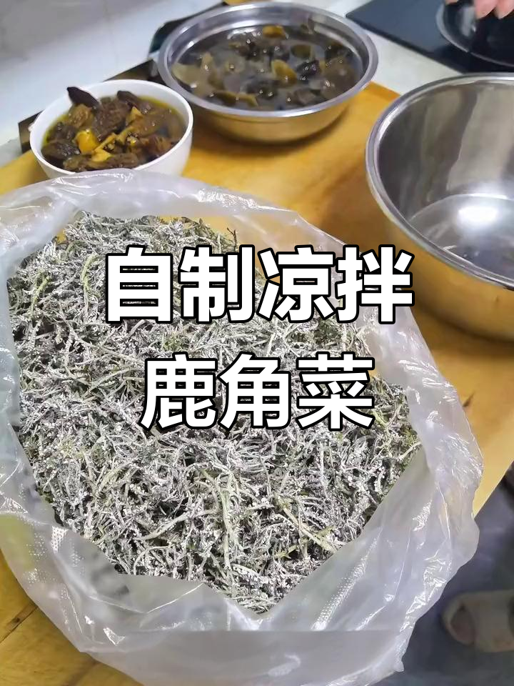凉拌鹿角菜的做法教程