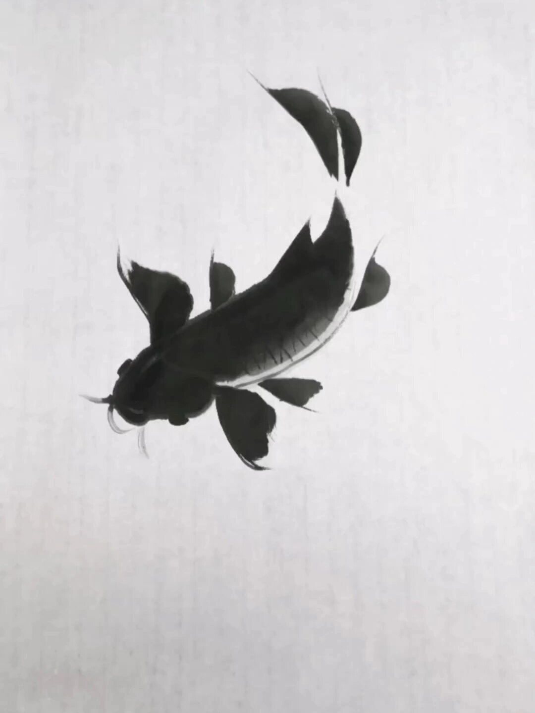 鱼的画法步骤