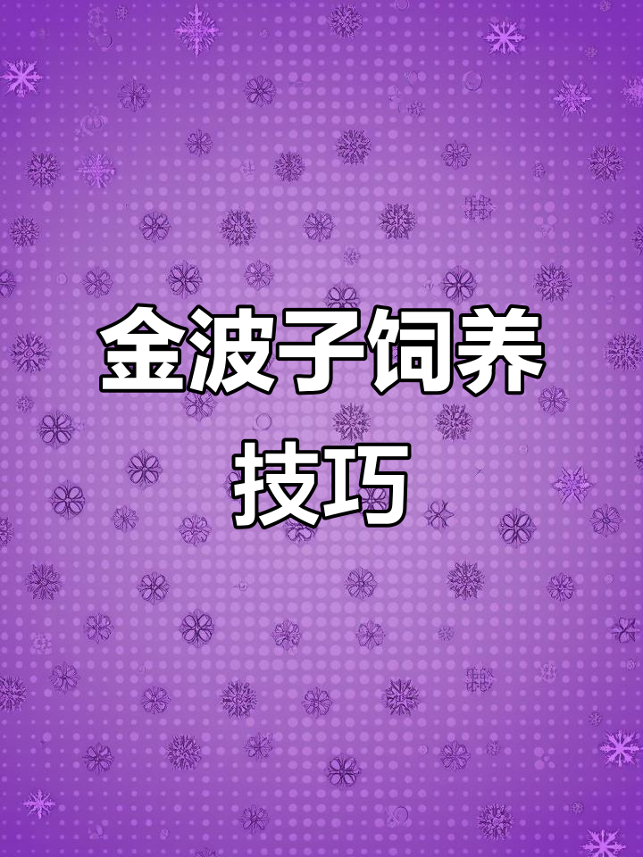 金波子肠炎频发?如何正确喂食避免疾病